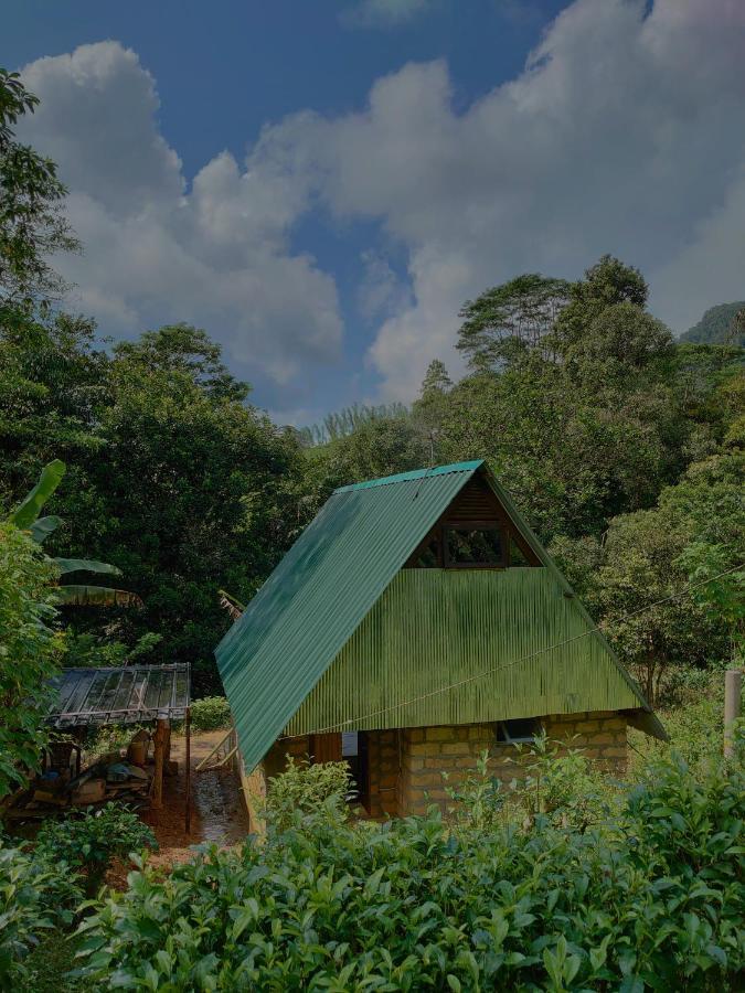 Rainforest Cabin Deniyaya Extérieur photo