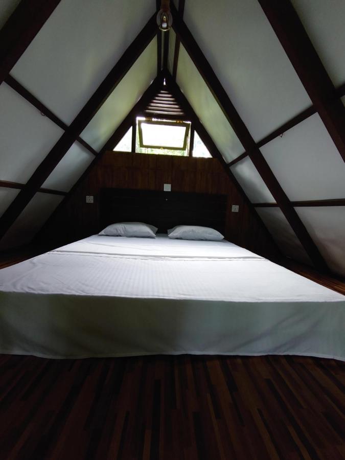 Rainforest Cabin Deniyaya Extérieur photo