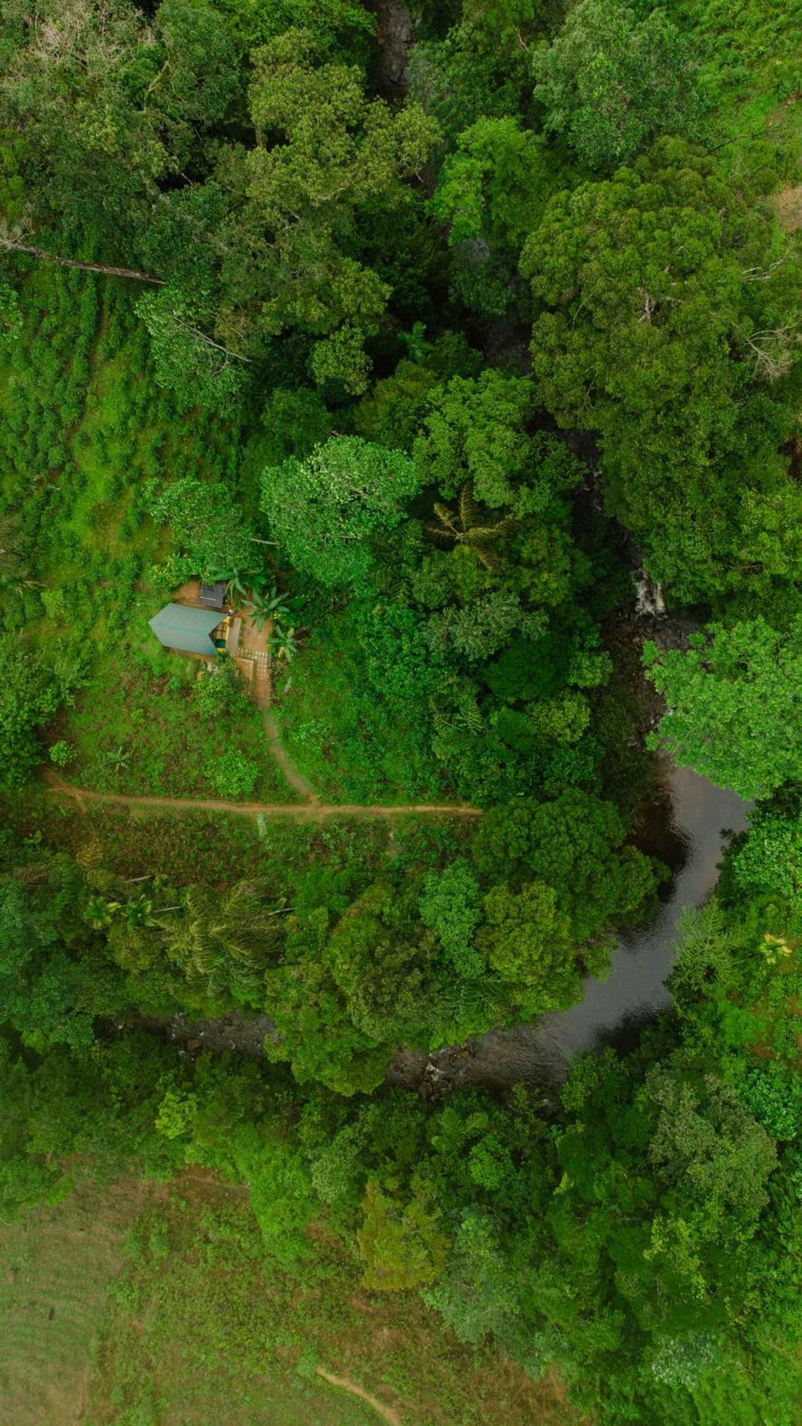 Rainforest Cabin Deniyaya Extérieur photo