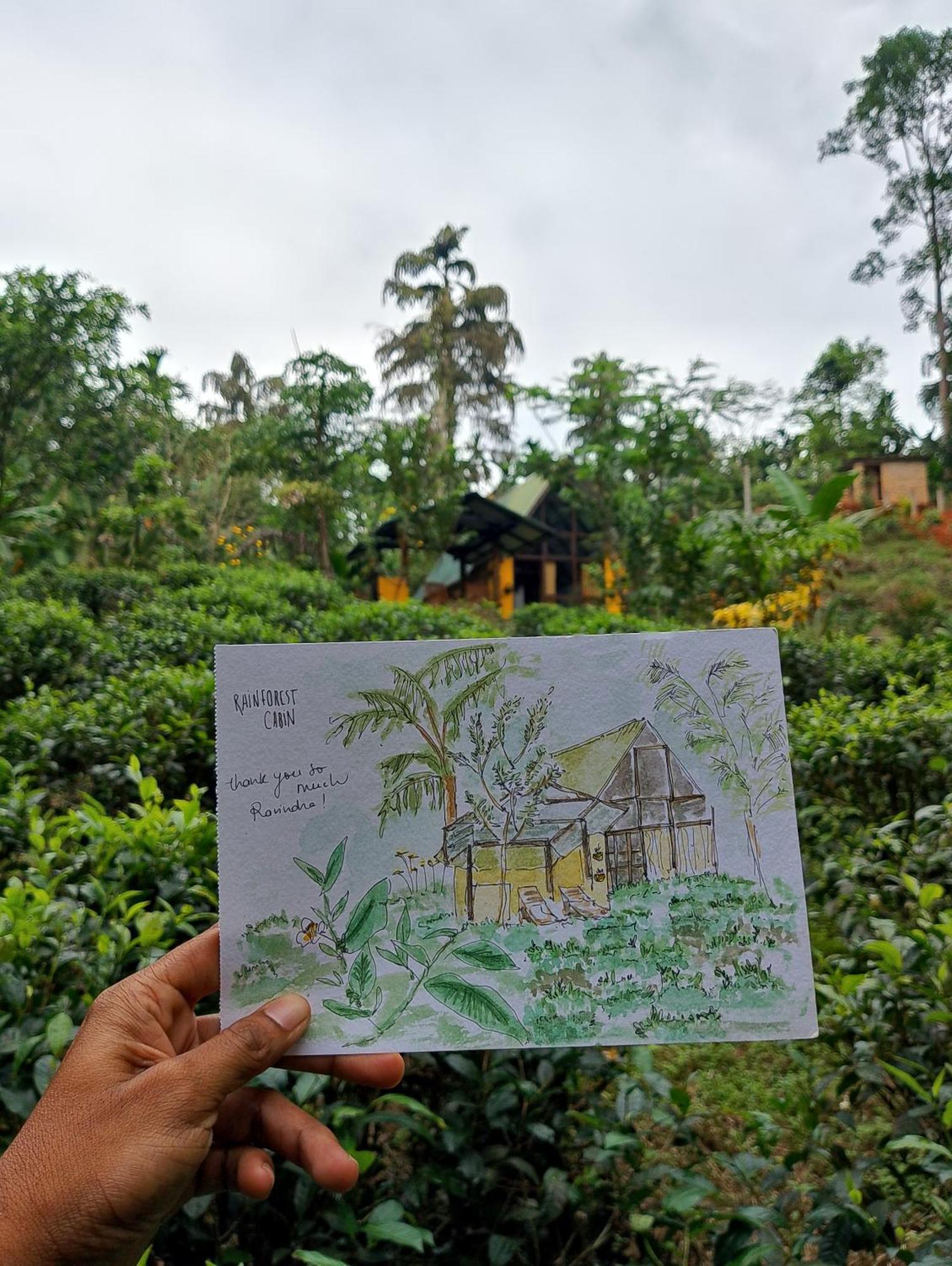 Rainforest Cabin Deniyaya Extérieur photo