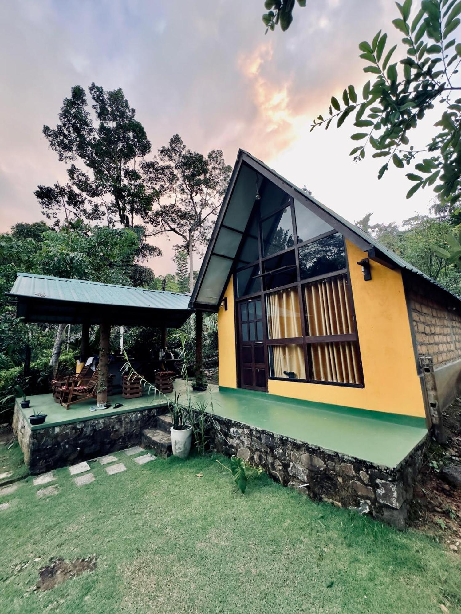 Rainforest Cabin Deniyaya Extérieur photo